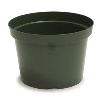 6 Inch Azalea Green - 640 per case