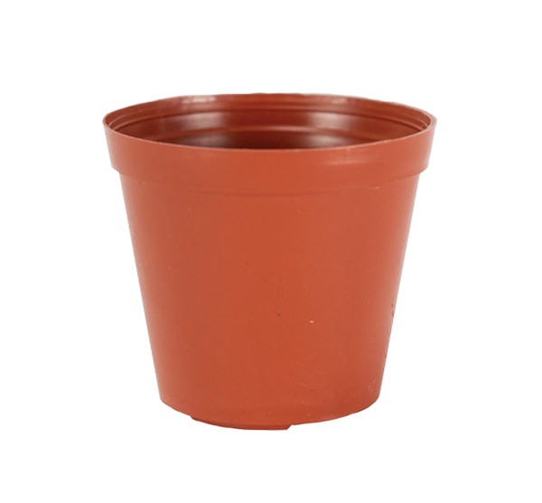 60mm Mini Pot Terra Cotta - 1620 per case