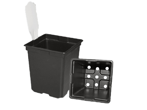 SVD 550 Black Tag Slot Pot – 200 per case