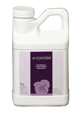 Concise 1 Gallon Jug