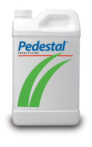 Pedestal™ 1 Quart Bottle - 8 per case