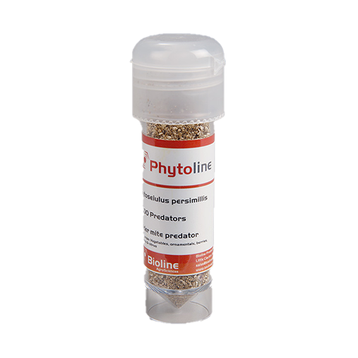 Phytoline - 2000 per 30ml Vial