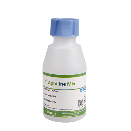 Aphiline CE Mix - 500 units per 125ml bottle