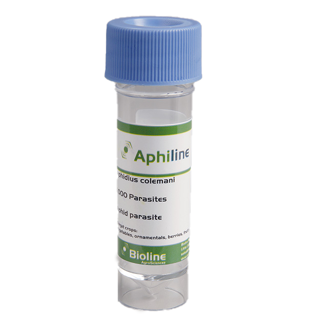 Aphiline c Aphidius cole mani - 1000 per 30ml vial