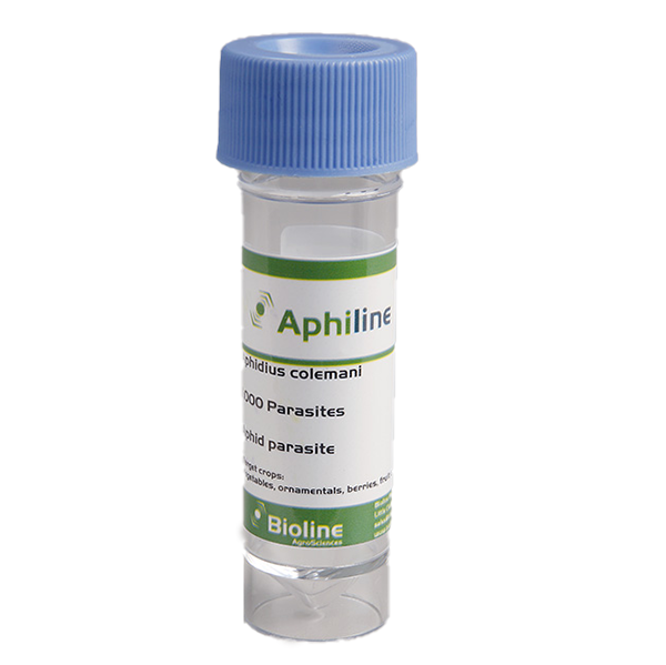 Aphiline c Aphidius cole mani - 1000 per 30ml vial