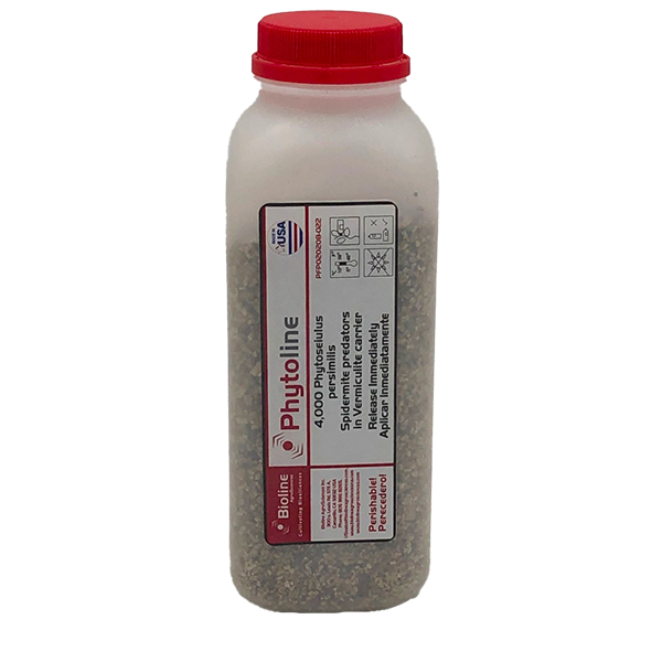 Phytoline – 4000 per bottle