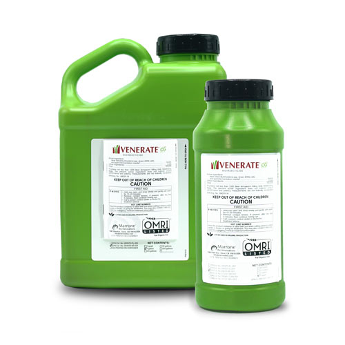 Venerate® CG Gallon Jug - 4 per case
