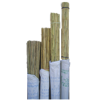 Bamboo Natural 6' x 1/2"12-14 mm - 200 per bale