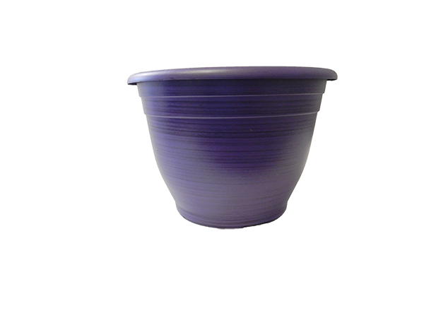 15 x 10.25 Royal Planter Purple Black Line - 30 per case