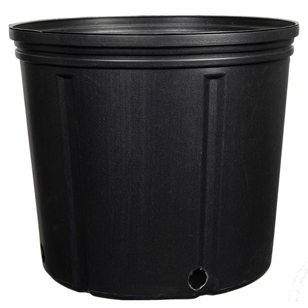 Nursery Pot Black 2 Gallon - 50 per sleeve