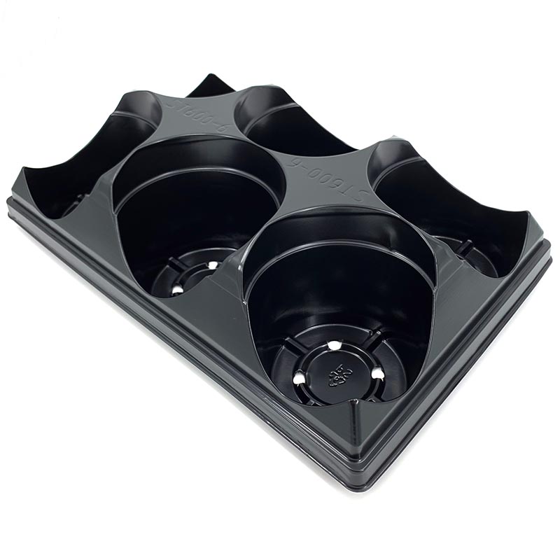 6 Count Tray for 6 Inch Round Pots - 100 per case