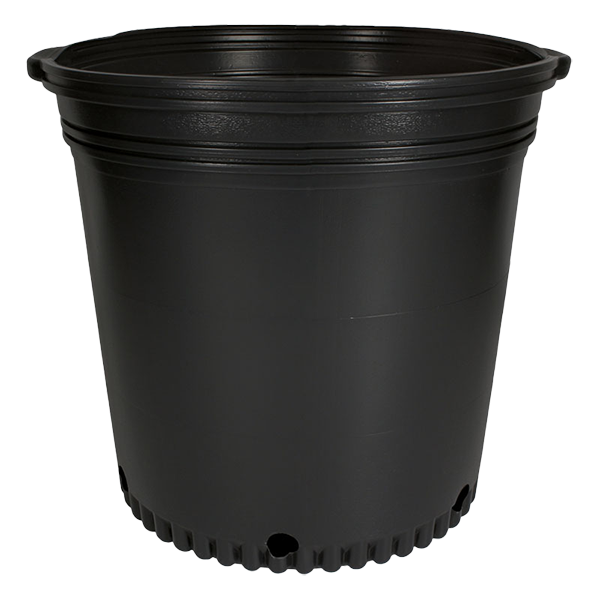 7 Gallon Whiteridge Nursery Pot Black – 25 per sleeve