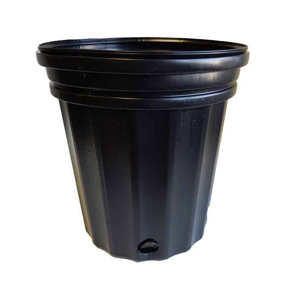 Elite 300 Nursery Pot Black - 65 per sleeve