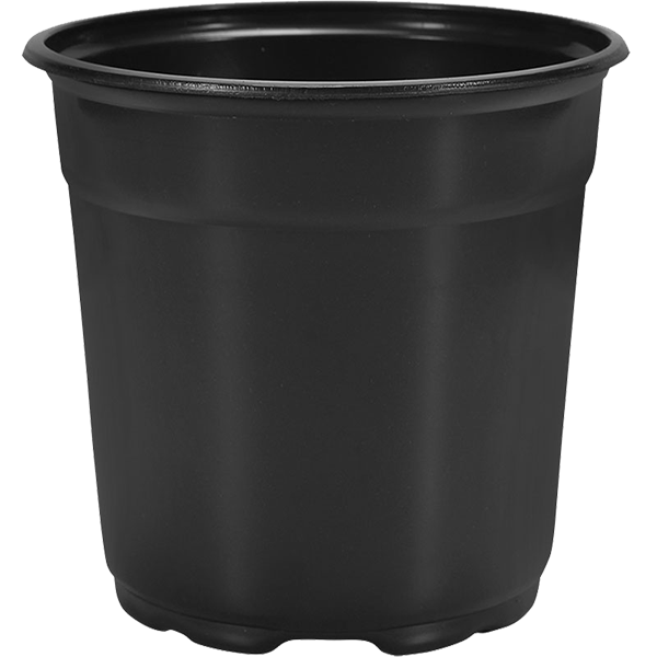 17 cm Euro Pot Coex 17cm Tall CoEx Euro Pot Black - 294 per case