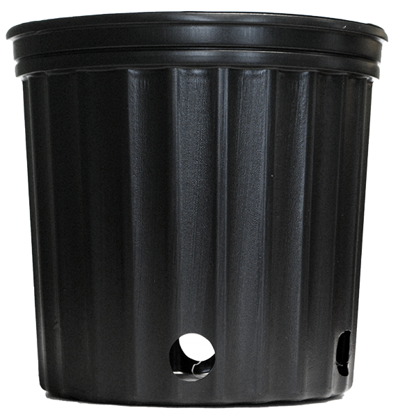 Elite 1001 Nursery Pot Black - 50 per sleeve