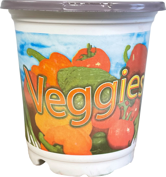 4 Inch Standard Coex Veggie Pot - 1260 per case