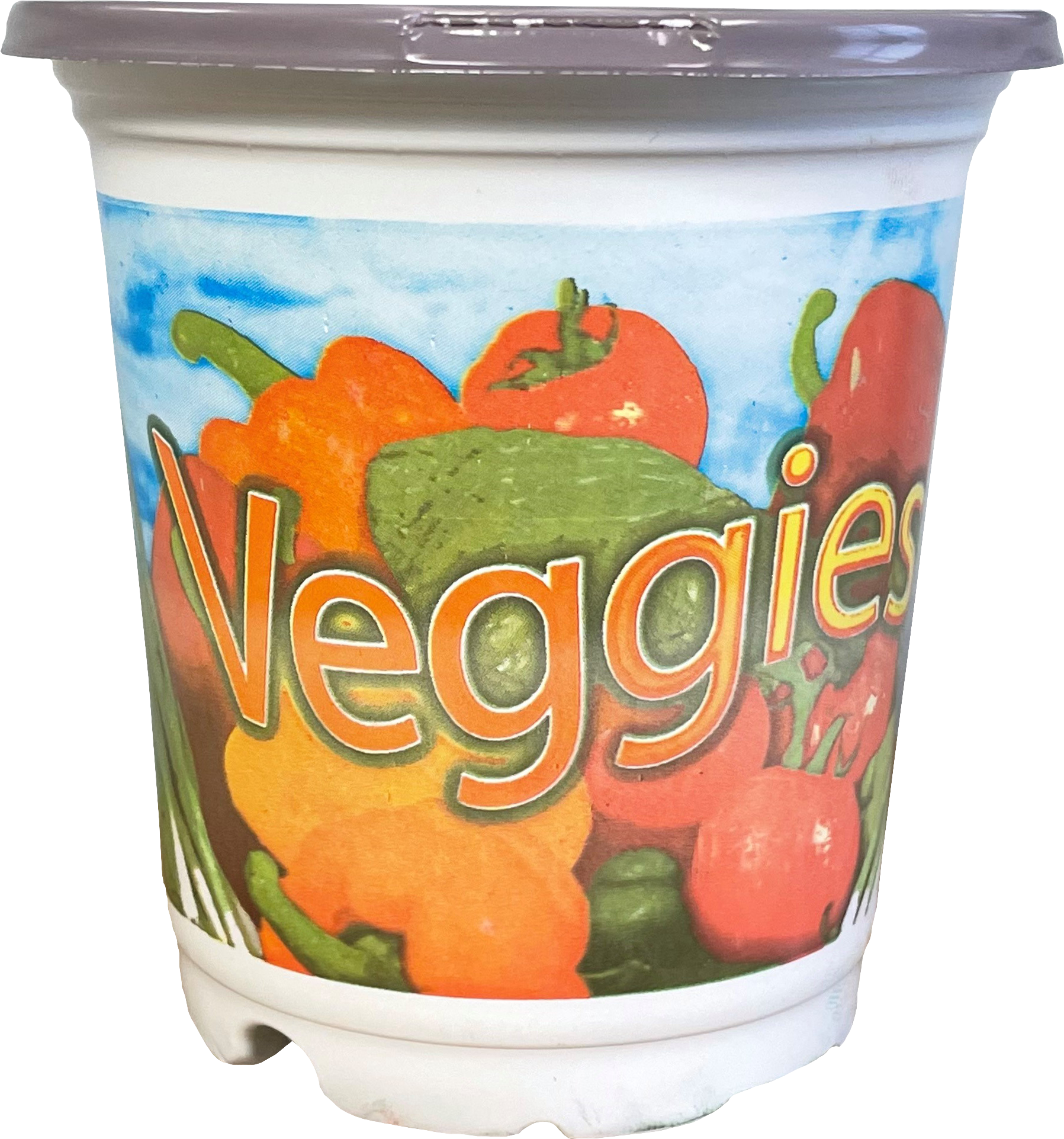 4 Inch Standard Coex Veggie Pot - 1260 per case