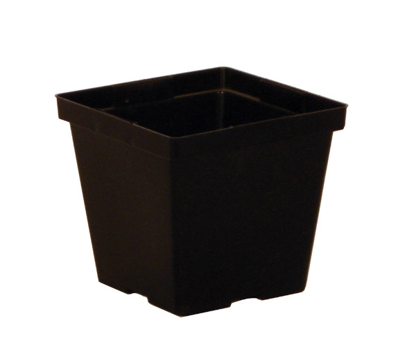 4.00 Square Thinwall TL Black - 846 per case