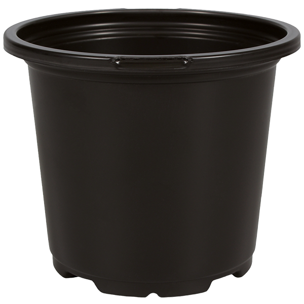 4.50 Inch Geranium Coex Pot Black – 720 per case