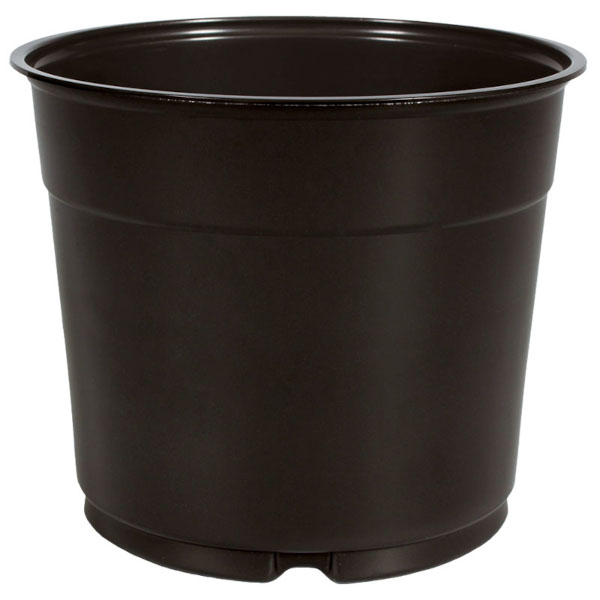 5.5 Inch Azalea Coex Pot Black - 496 per case