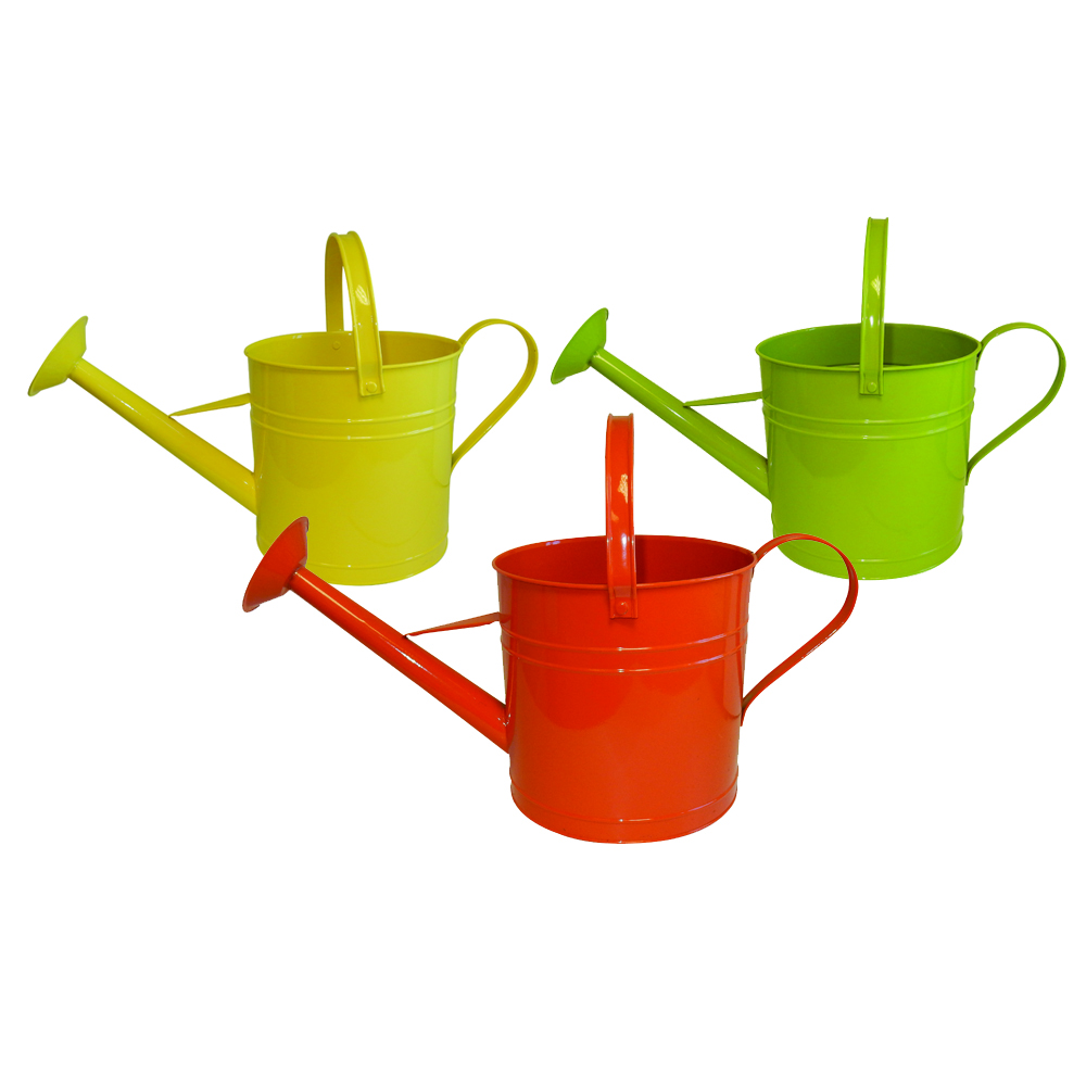 08.25 Watering Can Planters Citrus Collection - 6 per case