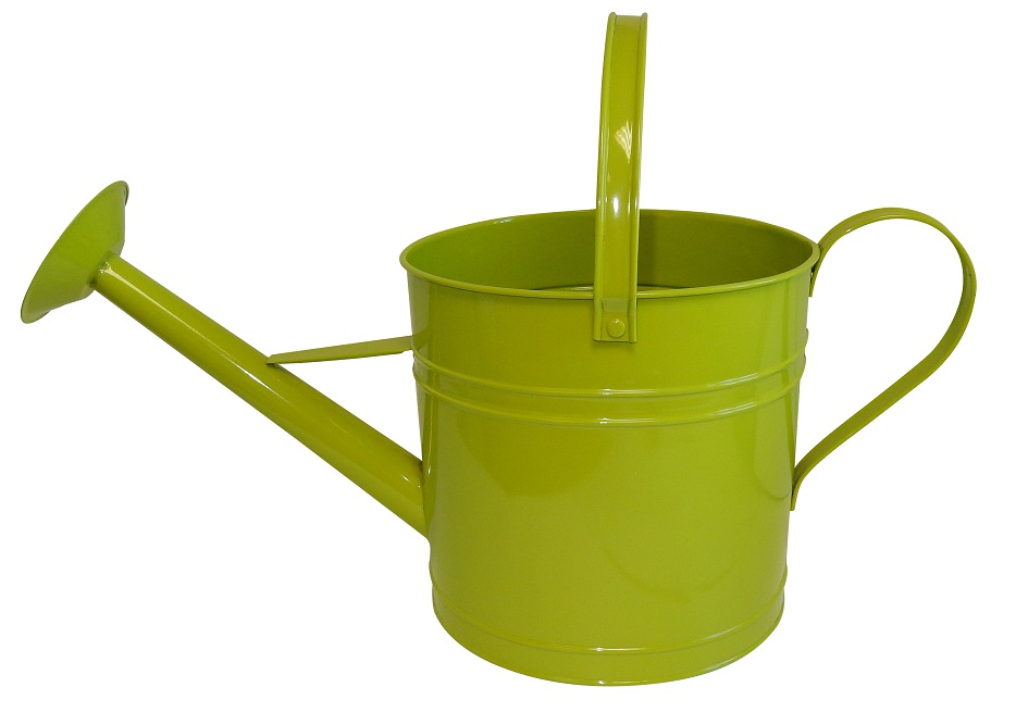 08.25 Watering Can Planter Lime Green - 6 per case