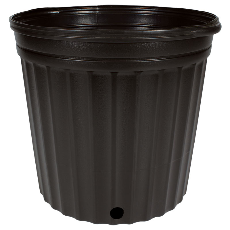 Elite 2000 Nursery Pot with Handle Black - 46 per sleeve