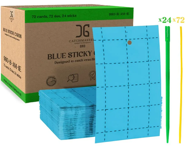 Catchmaster® 3" x 5" Blue Sticky Cards - 72 per box